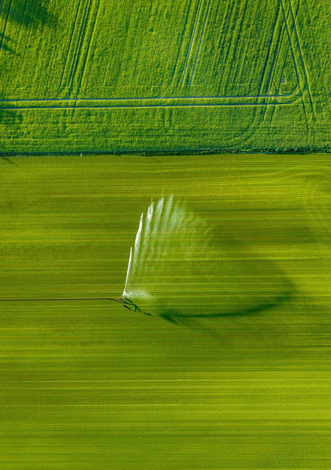Aerial view of center-pivot irrigation watering a vibrant green crop field